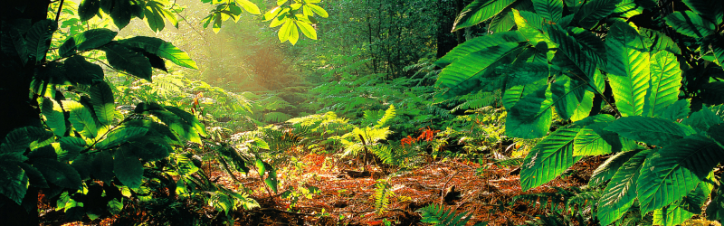 découvrir la couleur de la joie.” — Taklit Hammouche